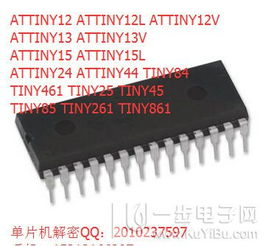 深耕芯片解密与高清图像服务 详解Microchip dsPIC30F6011供应方案